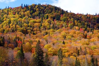 © Werner Bayer - Parc National de Gaspé - Canada Parc National de Gaspé - Canada
