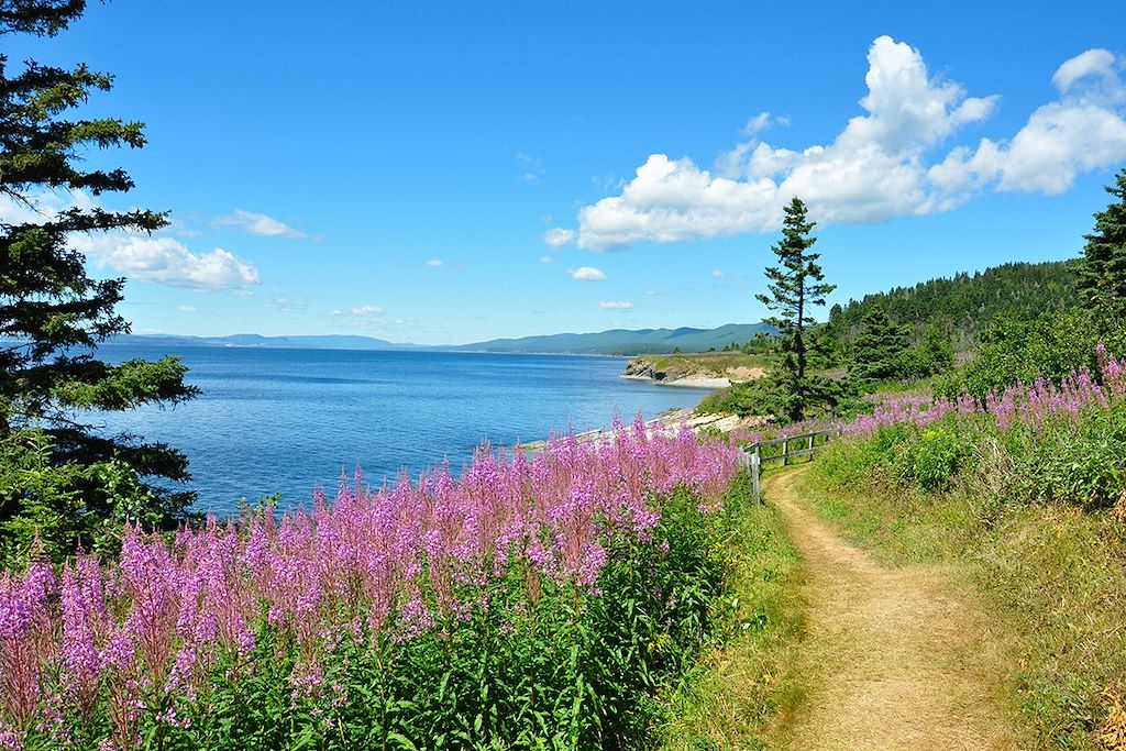 Image Randonnée Gaspésie - Trek Appalaches - Trek Québec