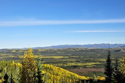 Toundra - Yukon - Canada