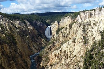 Le grand canyon du parc national de Yellowstone - Etat du Wyoming - Etats-Unis
