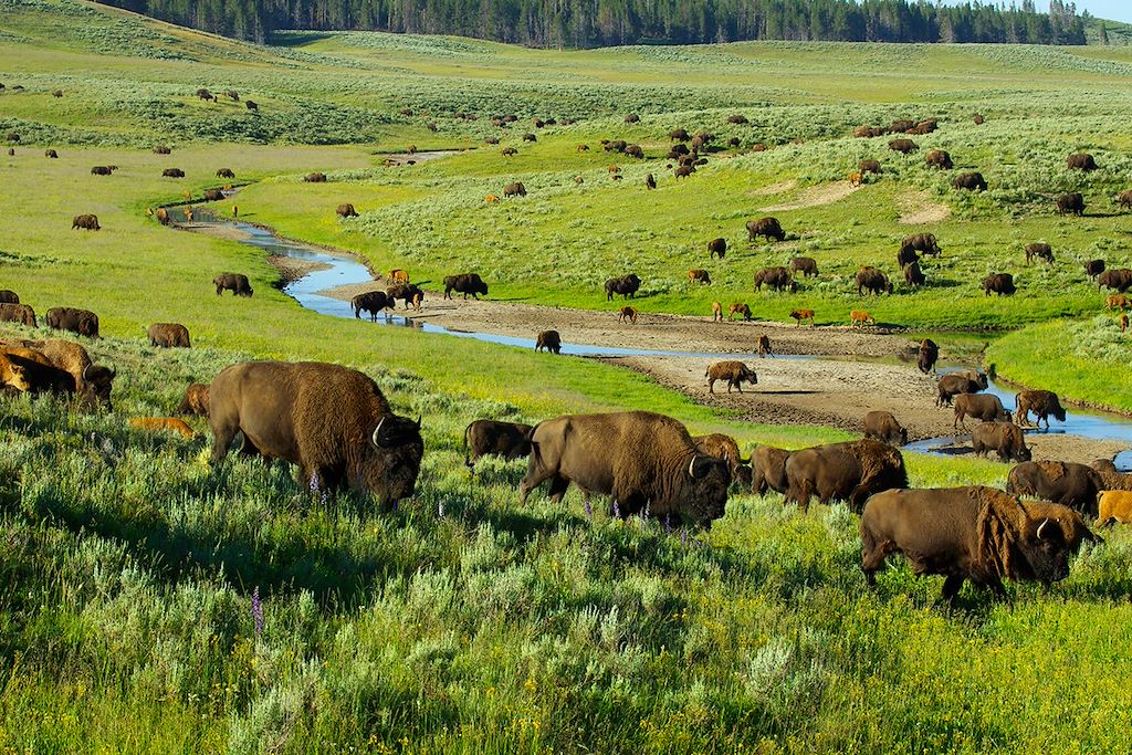 Image Kayak Yellowstone - randonnée parc national de Glacier - rafting Jasper