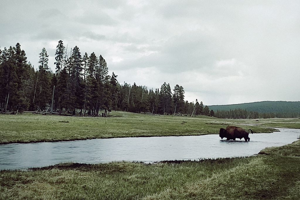 Image Kayak Yellowstone - randonnée parc national de Glacier - rafting Jasper