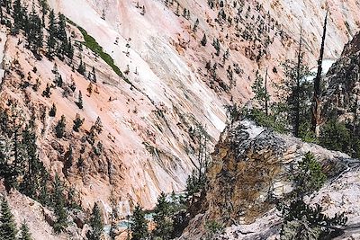 Grand Canyon du Yellowstone - Parc national de Yellowstone - Wyoming - États-Unis