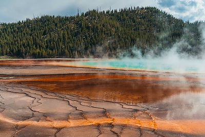 Grand Prismatic - Parc national - Yellowstone -  Wyoming - Etats- Unis