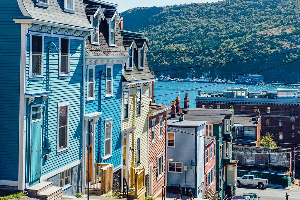 Image Terre-Neuve-et-Labrador - Randonnée Terre-Neuve - Observation baleine