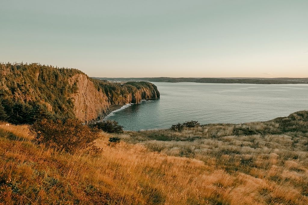 Image Terre-Neuve-et-Labrador - Randonnée Terre-Neuve - Observation baleine