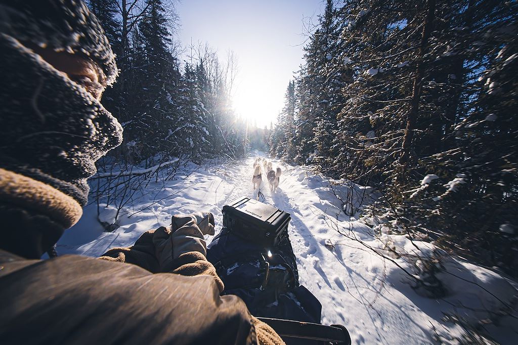 Image Raids - Chiens de traîneau Québec - Raquettes - Motoneige Québec - Voyage Québec