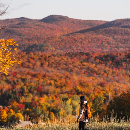 L’Appel de l’Automne Québécois