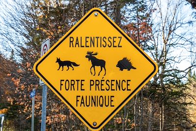 Panneau de signalisation d'animaux - Québec - Canada