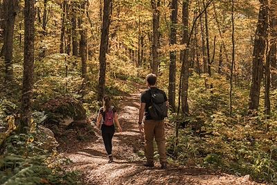 Randonnée dans le parc national de la Jacques-Cartier - Québec - Canada