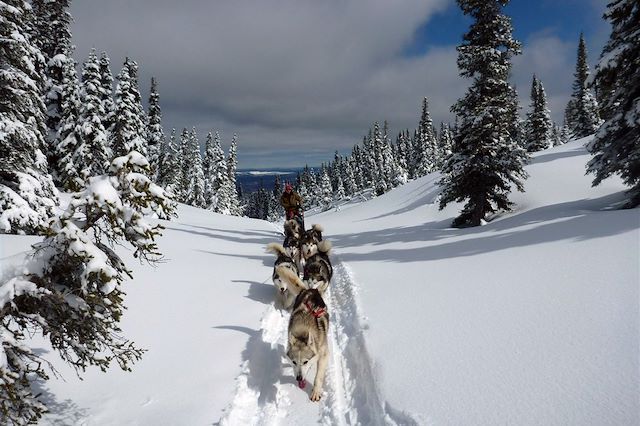 Traîneau à chiens Canada Québec