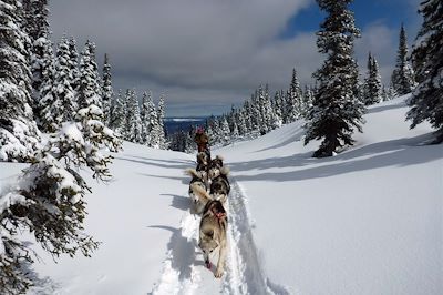 Traîneau à chiens - Canada