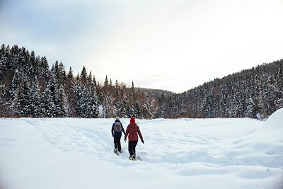 Raquettes - Parc national de la Jacques Cartier - Canada