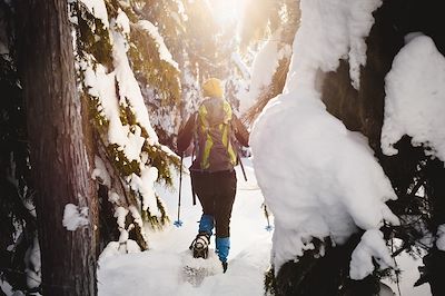 Randonnée en raquettes - Canada