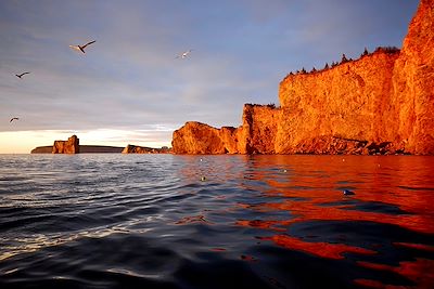 Parc National Ile Bonaventure et du Rocher Percé - Gaspésie - Canada