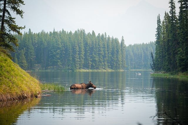 Randonnée Canada Vancouver et les Rocheuses
