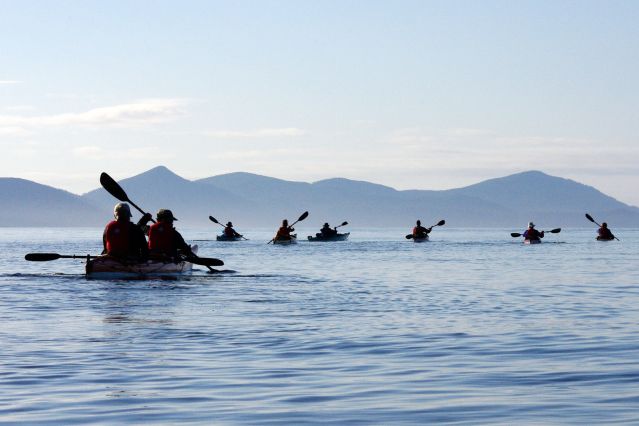 Voyage Kayak et baleines de l'île de Vancouver 2