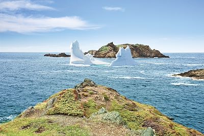Crow Head - Île de Twillingate - Terre-Neuve-et-Labrador - Canada