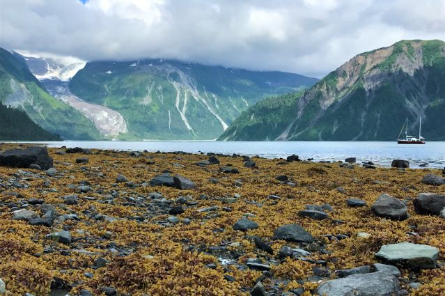 Image Ouest canadien : Haida Gwaii et Passage Intérieur