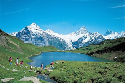© ST / swiss-image.ch - Grindenwald - Suisse Grindenwald - Suisse