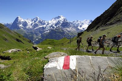 © Jost von Allmen / Schilthornbahn AG - Vue sur l'Eiger, le Moench et la Jungfrau - Suisse Vue sur l'Eiger, le Moench et la Jungfrau - Suisse