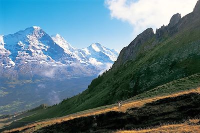 © Robert Boesch / Switzerland Tourism - Vue sur l'Eiger, le Moench et la Jungfrau - Suisse Vue sur l'Eiger, le Moench et la Jungfrau - Suisse