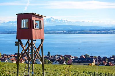 © Achim Mende / Internationale Bodensee Tourismus GmbH - Vignoble à Hagnau am Bodensee - Lac de Constance - Allemagne Vignoble à Hagnau am Bodensee - Lac de Constance - Allemagne