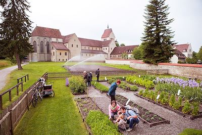 © Helmuth Scham / Internationale Bodensee Tourismus GmbH - Île de Reichenau - Lac de Constance - Allemagne Île de Reichenau - Lac de Constance - Allemagne