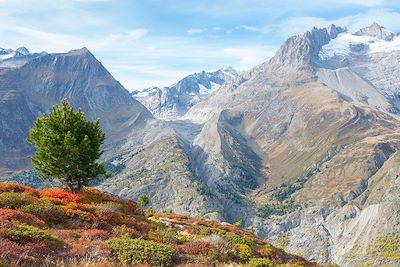 Région du glacier d'Aletsch - Canton du Valais - Suisse