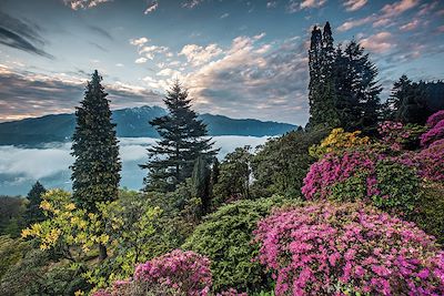 © Switzerland Tourism / Jan Geerk - Parc San Grato - Canton du Tessin - Suisse Parc San Grato - Canton du Tessin - Suisse