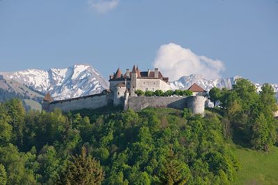 Gruyère - Suisse