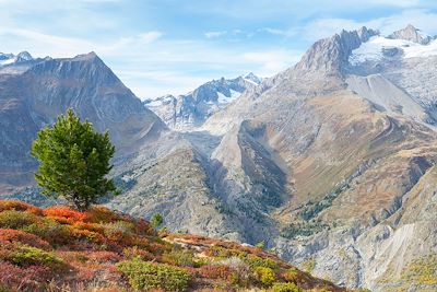 Sentier panoramique du glacier d’Aletsch