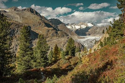 © Switzerland Tourism / Jan Geerk - Vue sur le glacier d'Aletsch depuis la forêt d'Aletsch - Suisse Vue sur le glacier d'Aletsch depuis la forêt d'Aletsch - Suisse