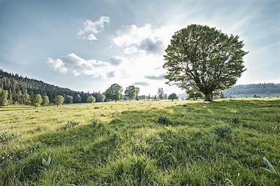 © Gerry Nitsch / Schweiz Tourismus / Switzerland Tourism - Parc naturel Chasseral - Jura bernois - Suisse Parc naturel Chasseral - Jura bernois - Suisse