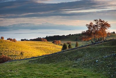 © Switzerland Tourism / Roland Gerth - Jura neuchâtelois, vue sur les Alpes et le Mont Blanc - Suisse Jura neuchâtelois, vue sur les Alpes et le Mont Blanc - Suisse