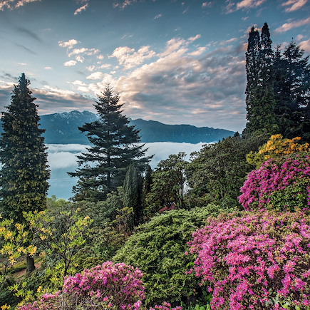 Randonnée Suisse