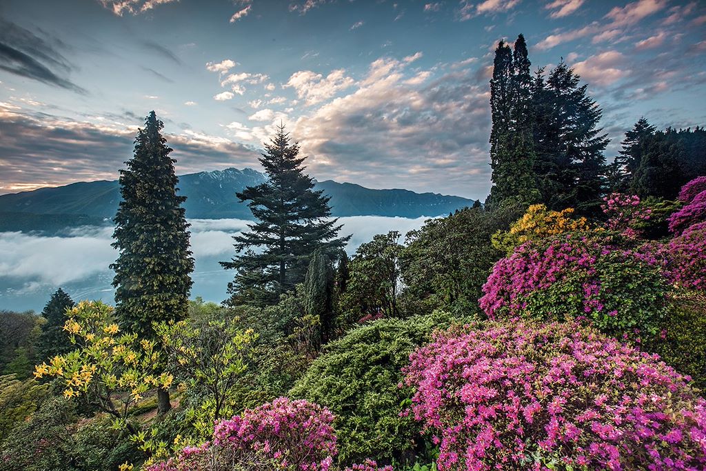 Image Tessin - Lac Lugano - Serpiano - Lac de Côme