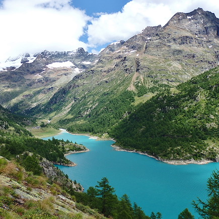 Trek Suisse
