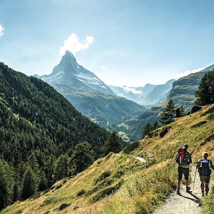 Trek Suisse