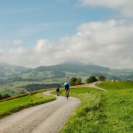 VTT / Gravel Suisse