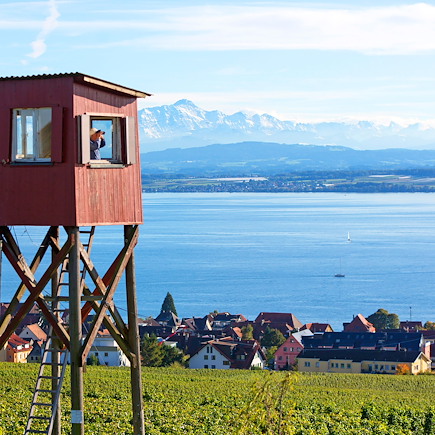 Vélo Suisse