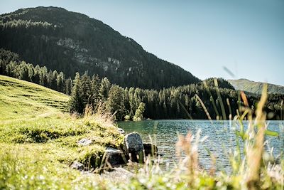 Davos - Canton des Grisons - Suisse