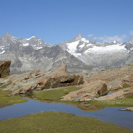 Trek Suisse