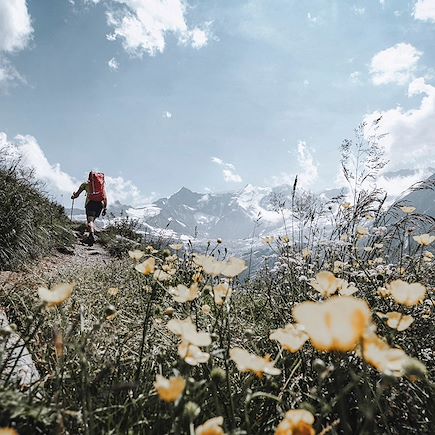 Trek Suisse