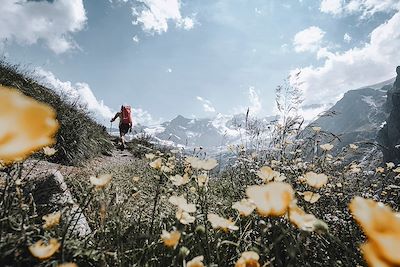 Sur le chemin de Chamonix - Zermatt