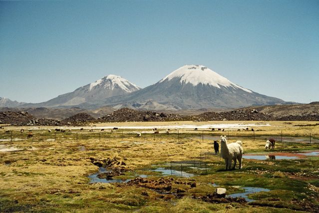 Image Sur les routes chiliennes, entre salars et volcans