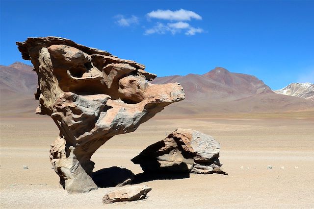 Voyage Du désert d'Atacama au salar d'Uyuni