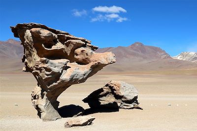 Arbre de pierre - Désert de Siloli - Sud Lipez - Bolivie