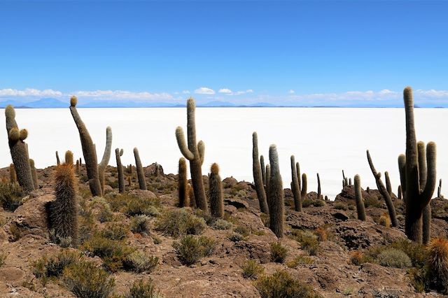Voyage Du désert d'Atacama au salar d'Uyuni