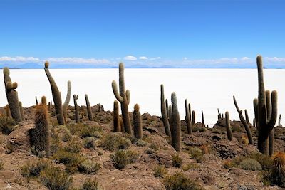 Du désert d'Atacama au salar d'Uyuni